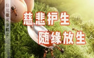 知识守护生命的演讲稿6篇