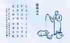 保护生态倡议书5篇