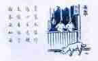 保护生态作文600字7篇