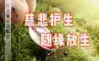 知识守护生命的演讲稿6篇