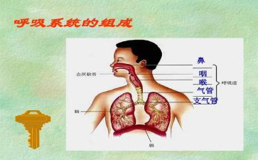 呼吸科主任竞聘演讲稿6篇
