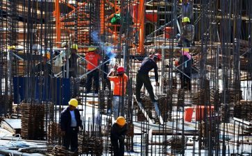 园建工作个人总结参考5篇
