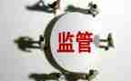 监管所党支部工作报告8篇