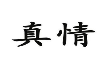 真情作文400字模板8篇