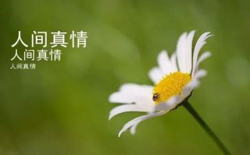 人间真情的作文600字7篇