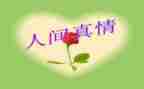 真情的作文400字最新8篇