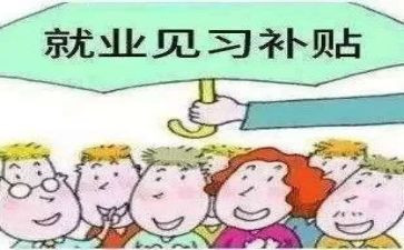 见习实习报告总结6篇