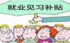 见习实习报告总结6篇