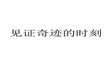 见证十一书观后感7篇