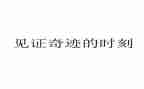 见证十一书观后感7篇
