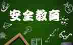 法制教育安全教育活动总结7篇