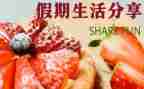 假日活动方案参考8篇