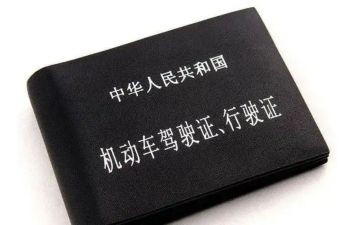 拿驾照心得体会优质5篇