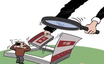 稽查个人总结7篇
