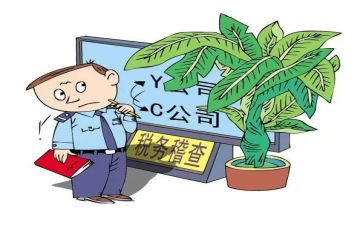 税稽查工作总结参考6篇