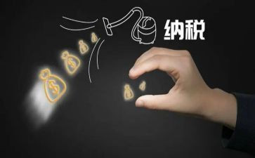 税稽查工作总结5篇