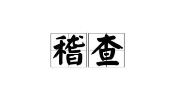 稽查员述职报告5篇