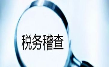 稽查员个人总结7篇