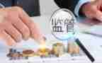 稽查个人总结优秀5篇