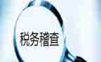稽查员个人总结7篇