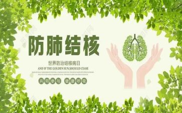 结核病防治半年工作总结6篇