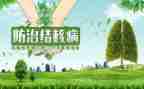2024年结核病防治日活动总结6篇