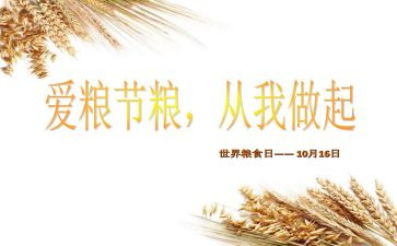 爱粮节粮活动总结6篇