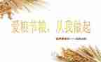 爱粮节粮活动总结6篇