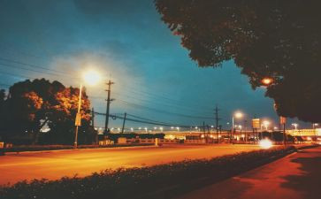 街头别字的调查报告推荐7篇