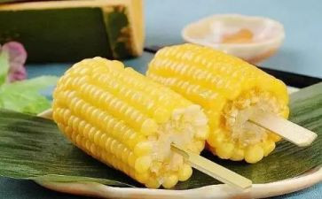 割玉米作文7篇