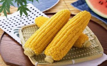家乡的玉米地作文6篇