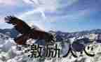 八年级激励作文6篇