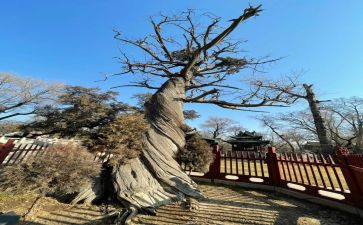 晋祠调查报告总结6篇