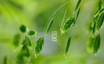 24节气歌教案7篇