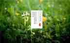 节气歌教案模板5篇