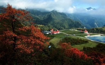 5.1景区工作总结范文8篇