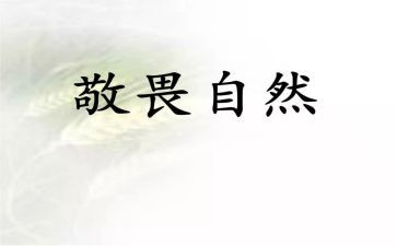 明底线知敬畏守纪律心得体会6篇