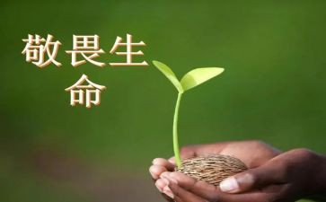 以敬与畏为主题的作文优秀8篇