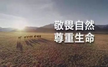 以敬与畏为主题的作文模板6篇