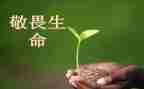 以敬与畏为主题的作文优秀8篇