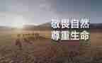 以敬与畏为主题的作文模板6篇