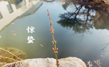 惊蛰教案7篇
