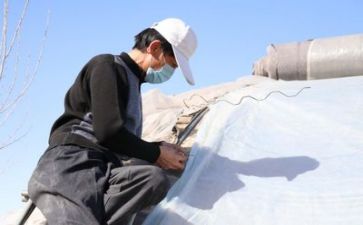 技术工作年度工作计划推荐7篇
