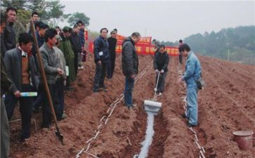 技术部工作计划优秀5篇