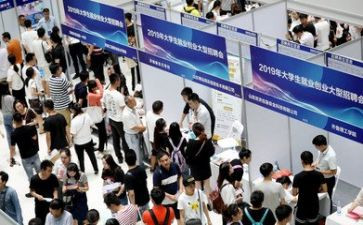 大学毕业生就业情况调查报告8篇