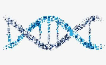 基因控制生物的性状教学反思7篇