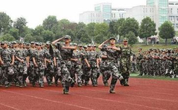 军军训心得体会500字参考6篇