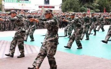 军训总结的心得体会最新5篇