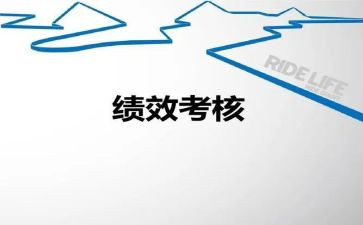 会计考核表个人总结6篇