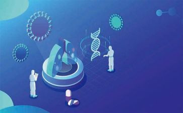 中班科学轻与重教案模板6篇